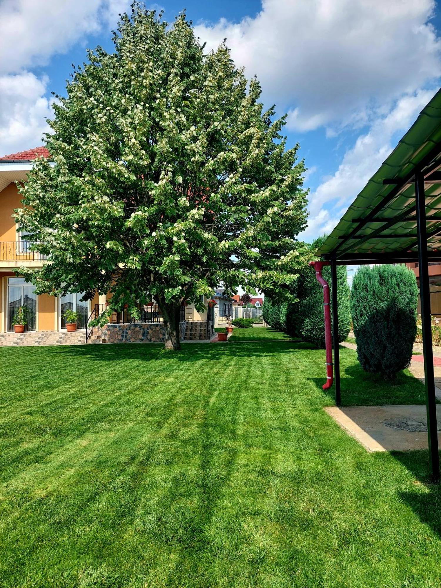 Casuta Cu Tei Villa Oradea Ngoại thất bức ảnh